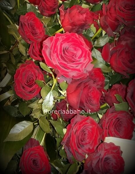 Rose rosse da comporre in mazzo per numero di steli.