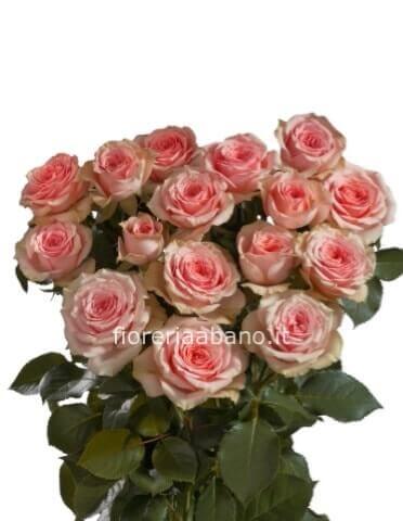 Rose colore rosa/salmone da comporre in mazzo per numero di steli.