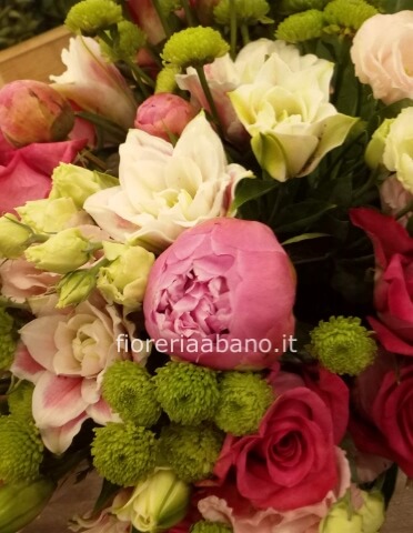 Omaggio da concordare a telefono al nostro numero